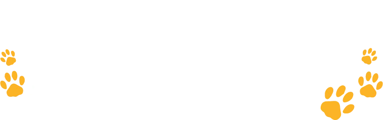 NMBDT Logo