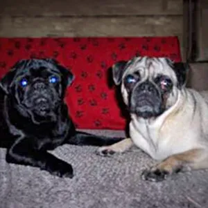 Baxter and Brady
