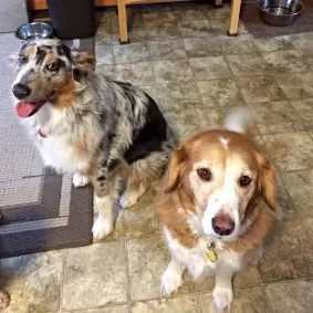 Bella & Willow