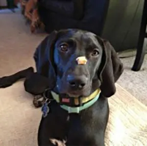Ellie