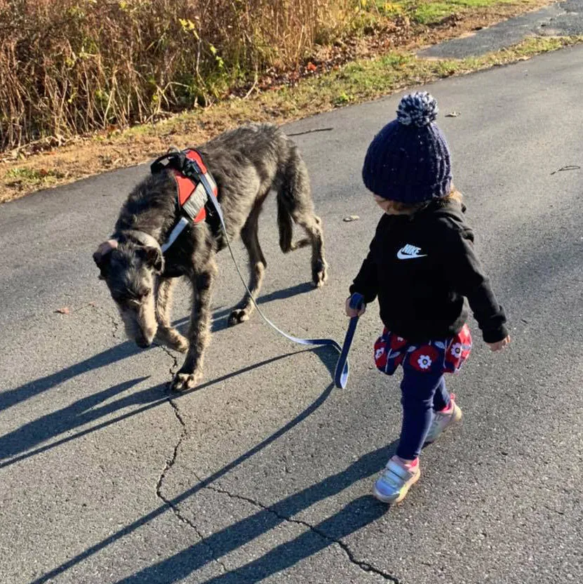 Child with Dog