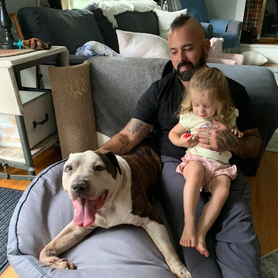Family Paws