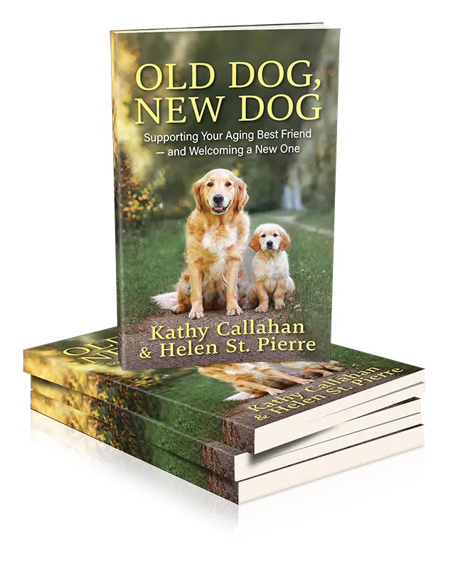 Old Dog New Dog